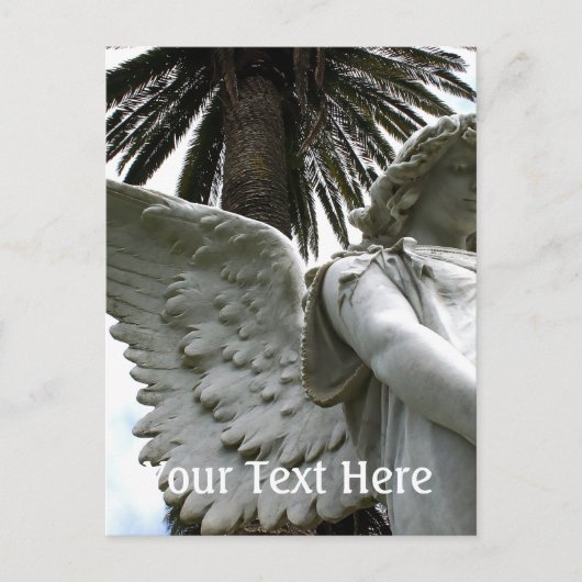 Carte Postale Tiré en paix (Devant)