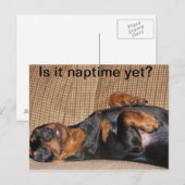 Carte Postale Tired Dachshund (Devant / Derrière)