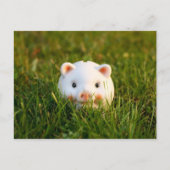 Carte Postale Tirelire (Devant)