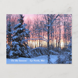 Carte Postale 'Tis Season Up North, Mn Winter Holiday