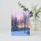 Carte Postale 'Tis Season Up North, Mn Winter Holiday (Debout devant)