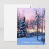 Carte Postale 'Tis Season Up North, Mn Winter Holiday (Devant / Derrière)