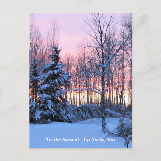 Carte Postale 'Tis Season Up North, Mn Winter Holiday (Devant)