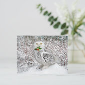 Carte Postale "T'is the Season" (Debout devant)