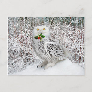 Carte Postale "T'is the Season"