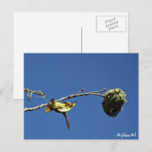 Carte Postale tisserain gendarme et son nid (Devant / Derrière)