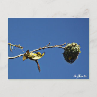 Carte Postale tisserain gendarme et son nid