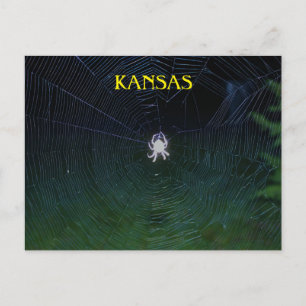 Carte Postale Tisserin d'orbe la nuit