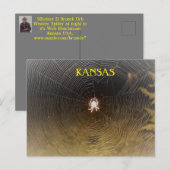 Carte Postale Tisserin d'orbe la nuit (Devant / Derrière)