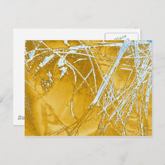 Carte Postale tissu chromé (Devant / Derrière)