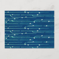 Tissu de coupe japonaise rayé