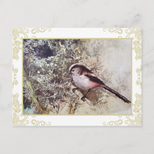 Carte Postale Tit à longue queue