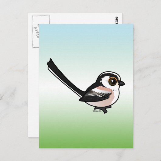 Carte Postale Tit à longue queue (Devant / Derrière)