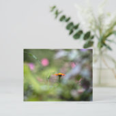 Carte Postale Tithonia Dans Le Jardin (Debout devant)