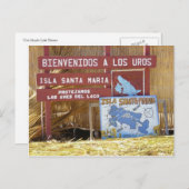 Carte Postale titicaca los uros (Devant / Derrière)