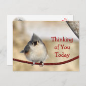 Carte postale Titmouse vierge - personnaliser à to (Devant / Derrière)