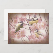 Carte Postale Tits bleus vintages (Devant / Derrière)