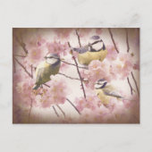 Carte Postale Tits bleus vintages (Devant)