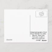 Carte postale TNR de chat harets (Dos)