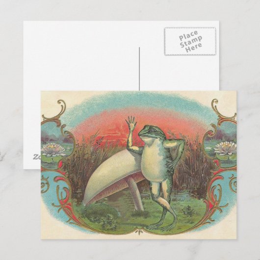 Carte Postale Toad et champignons (Devant / Derrière)