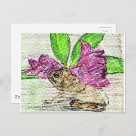 Carte Postale Toad-o-dendron (Devant / Derrière)