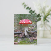 Carte Postale Toadstool Champhroom (Debout devant)