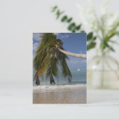 Carte Postale Tobago_-1926 (Debout devant)