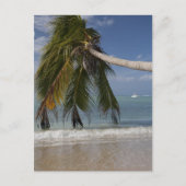 Carte Postale Tobago_-1926 (Devant)