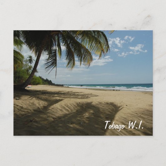 Carte Postale Tobago W.I. (Devant)