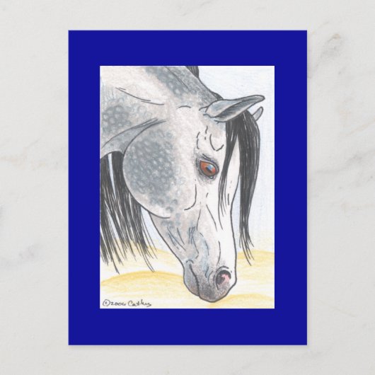 Carte Postale Tobehz bint Ardumm (Devant)