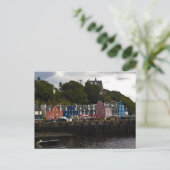 Carte Postale Tobermory (Debout devant)