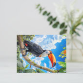 Carte Postale Toco toucan (Debout devant)
