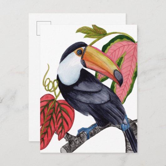Carte Postale Toco Toucan (Devant / Derrière)