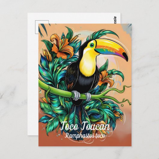 Carte Postale Toco Toucan (Devant / Derrière)