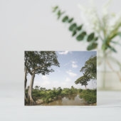 Carte Postale Togo central, Afrique de l'Ouest. (Debout devant)