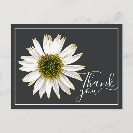 Carte Postale Toile de fond grise Charbon de coneflower blanc Me (Devant)