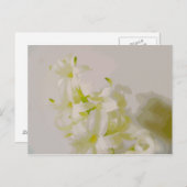 Carte Postale Toile de Hy (Devant / Derrière)