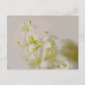 Carte Postale Toile de Hy (Devant)