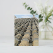 Carte Postale toit (Debout devant)