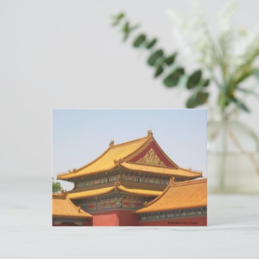 Carte Postale Toit de la ville interdite (Debout devant)