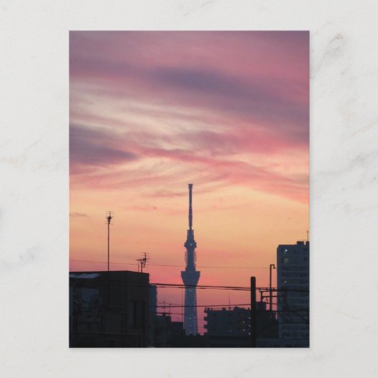 Carte Postale Tokyo Skytree au coucher du soleil (Devant)