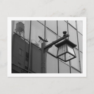 Carte Postale Tokyo Streetlights : Asakusa