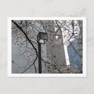 Carte Postale Tokyo Streetlights : Yushima
