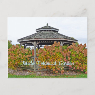 CARTE POSTALE TOLEDO JARDIN BOTANIQUE GAZEBO AVEC HYDRANGEAS