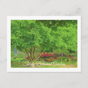 CARTE POSTALE TOLEDO JARDIN BOTANIQUE, TOLEDO, OHIO USA