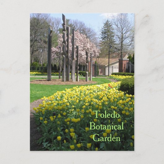 carte postale/TOLEDO JARDIN BOTANIQUE/TULIPS JAUNE (Devant)