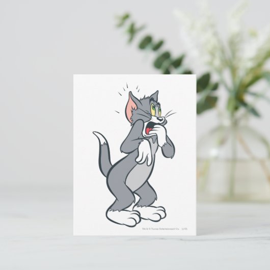 Carte Postale Tom Choqué (Debout devant)