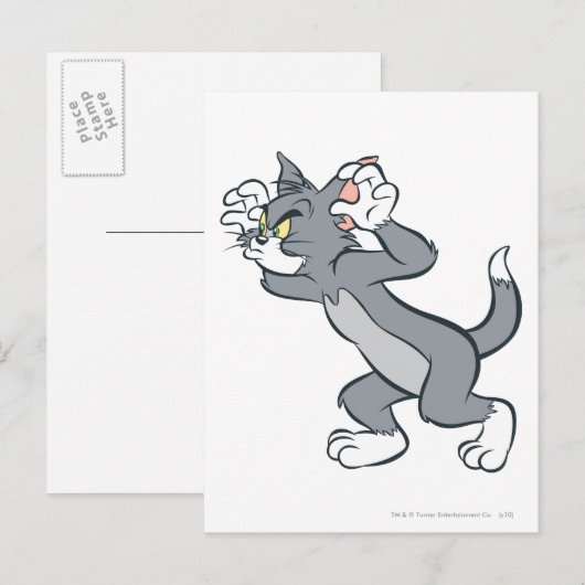 Carte Postale Tom prêt (Devant / Derrière)