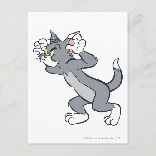 Carte Postale Tom prêt (Devant)