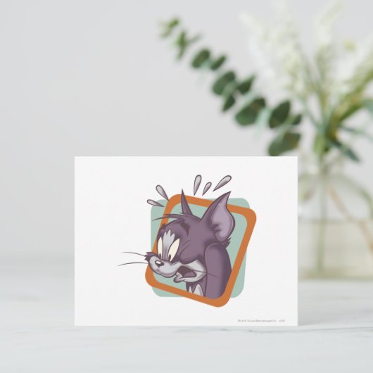 Carte Postale Tom Scaredy Cat (Debout devant)